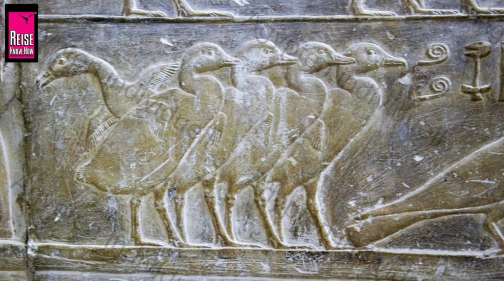 Relief mit Gänsen im Grab von Achethotep und Ptahhotep in Saqqara